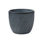 Gray Concrete Planter Pot Embossed with Leaves Pattern– Cylindrical Decorative Indoor/Outdoor Plant Container AF031